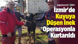 İzmir’de Kuyuya Düşen İnek Operasyonla Kurtarıldı