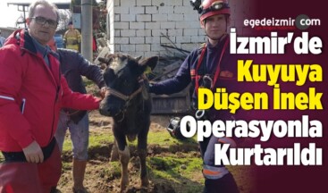 İzmir’de Kuyuya Düşen İnek Operasyonla Kurtarıldı