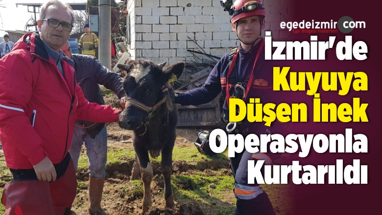Düşen