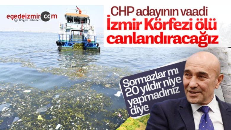 CHP Adayı