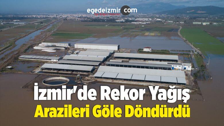 Tarım