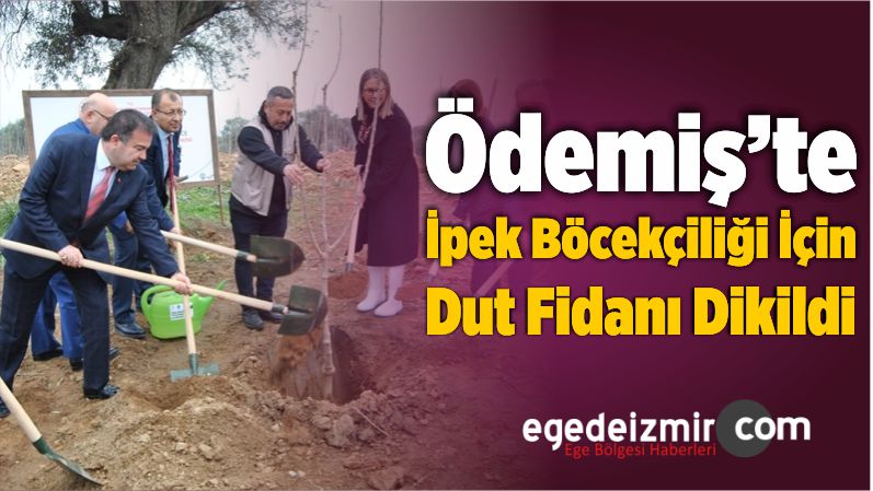 İpek Böcekçiliğinin Desteklenmesi