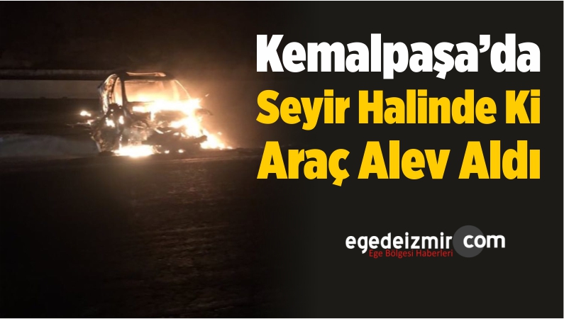 Alev Aldı
