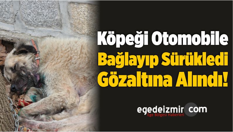 Bağlayıp Sürükledi