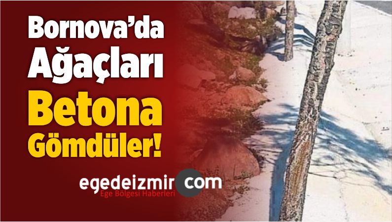 Betona Gömdüler
