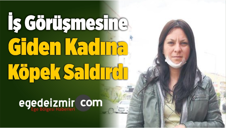 Köpek Saldırdı