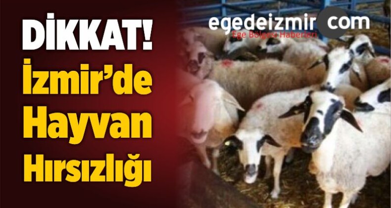 İzmir’de Hayvan Hırsızlığı