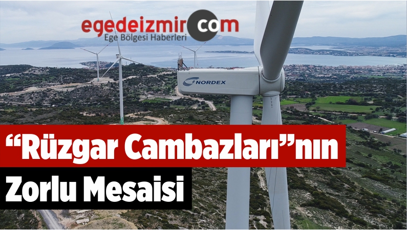 Rüzgar Cambazları