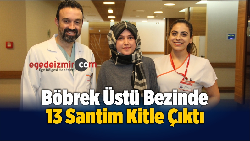 Böbrek Üstü