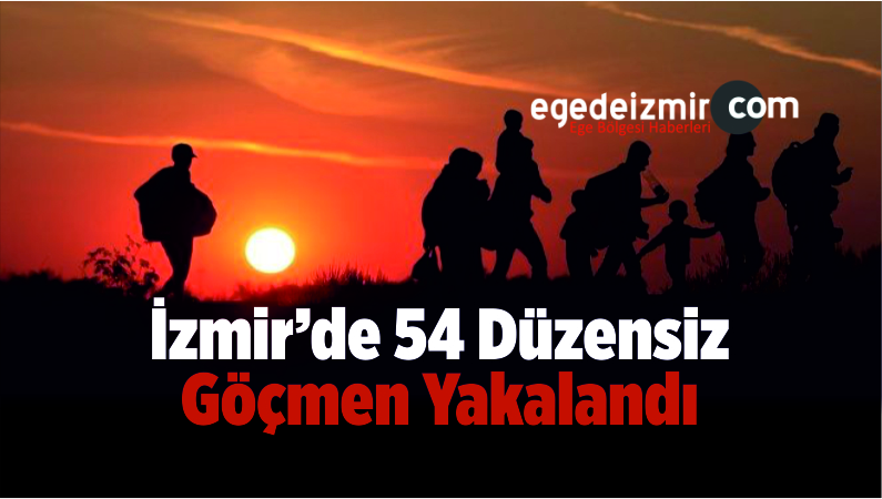 Düzensiz Göçm