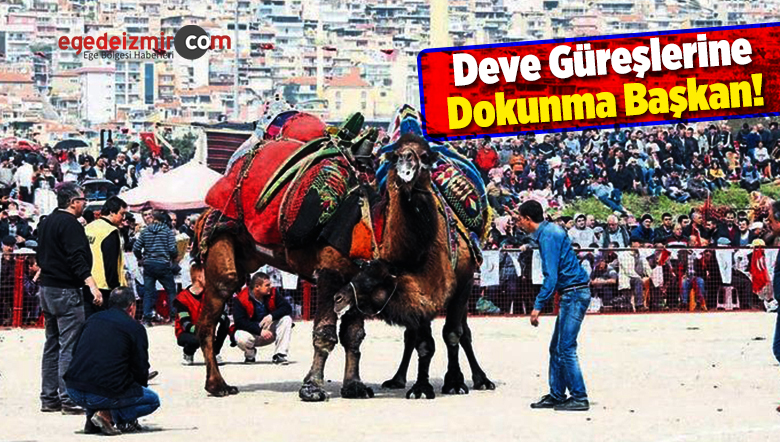 Deve Güreşlerini