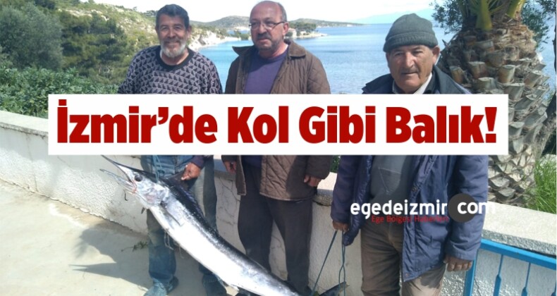 İzmir’de 40 Kiloluluk Kılıç Balığı Yakalandı