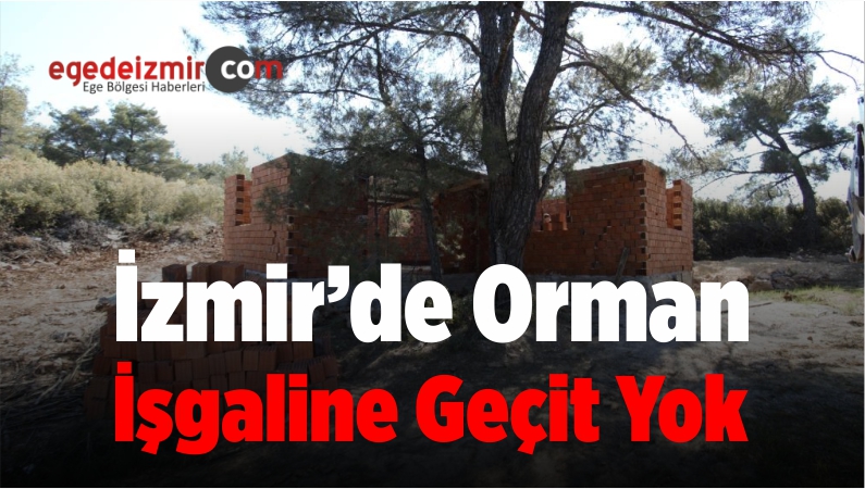 orman sınırları