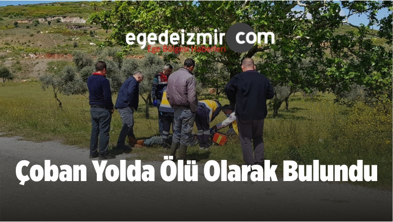yol kenarında ölü