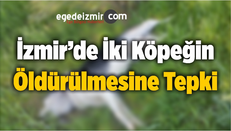 Öldürülmesine Tepki