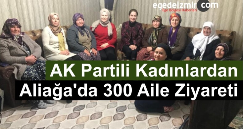 AK Partili Kadınlardan Aliağa’da 300 Aile Ziyareti