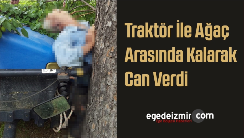 Ağaç Arasında Kalarak