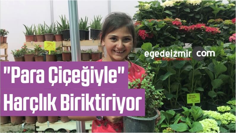 Uluslararası Çiçek
