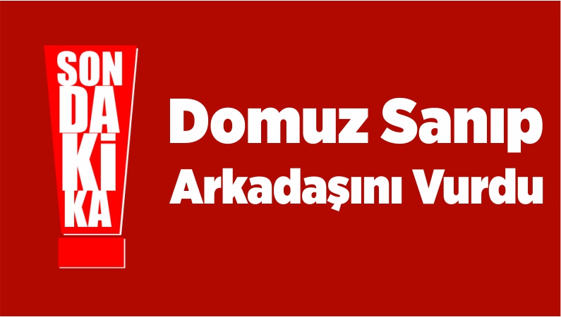 domuz avlamak