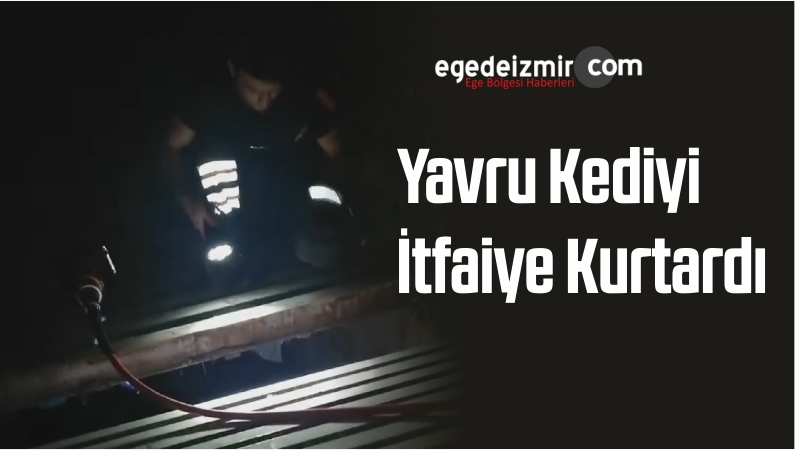 kedi itfaiye ekipleri