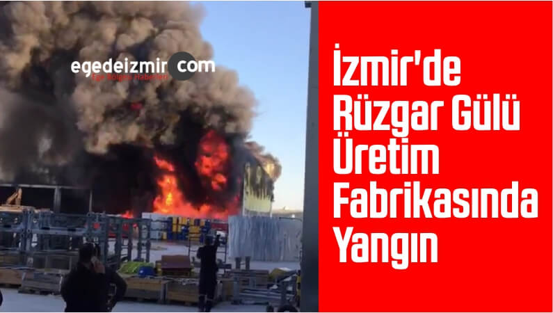rüzgar gülü