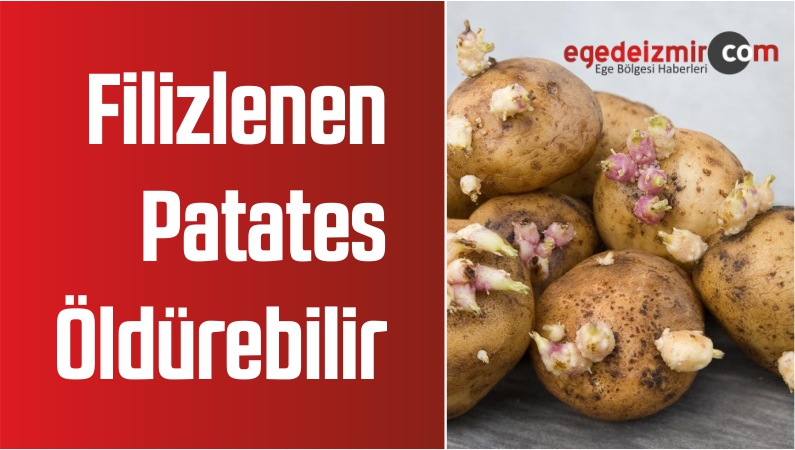 saklanmayan patates