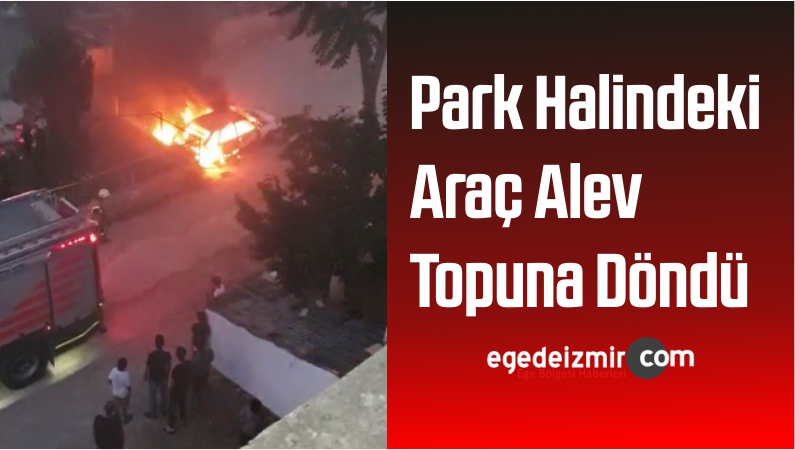 Alev Topuna Döndü