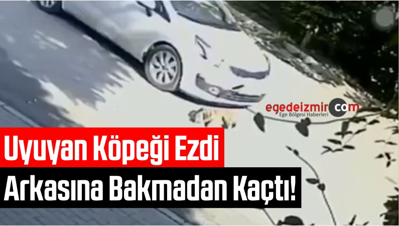 Arkasına Bakmadan Kaçtı!