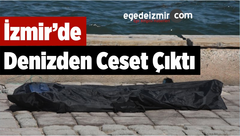 Ceset Çıktı