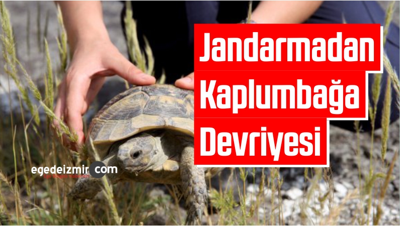 Jandarmadan