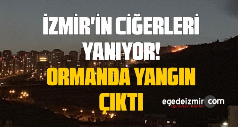 İzmir Karşıyaka’da Orman Yangını