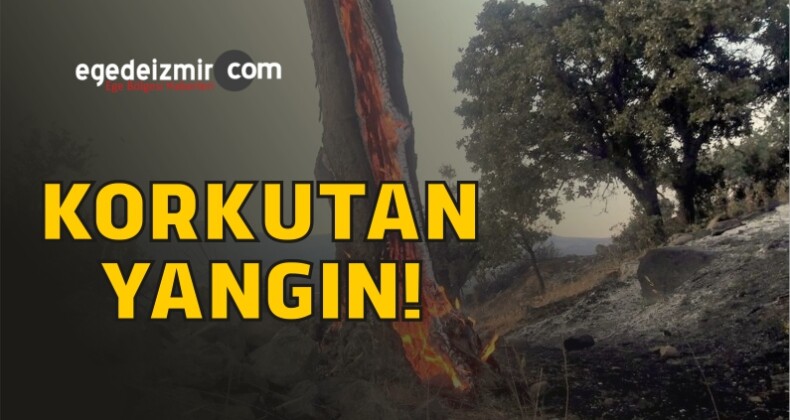 İzmir Menemen’de Orman Yangını! İtfaiye Ekipleri Olay Yerinde