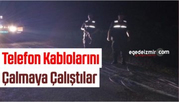 Telefon Kablolarını Çalmaya Çalıştılar