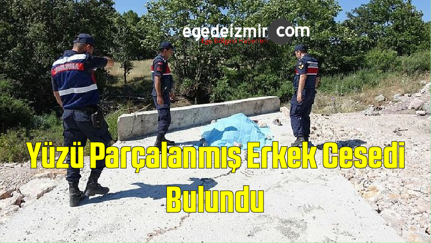 Varlık 1-100