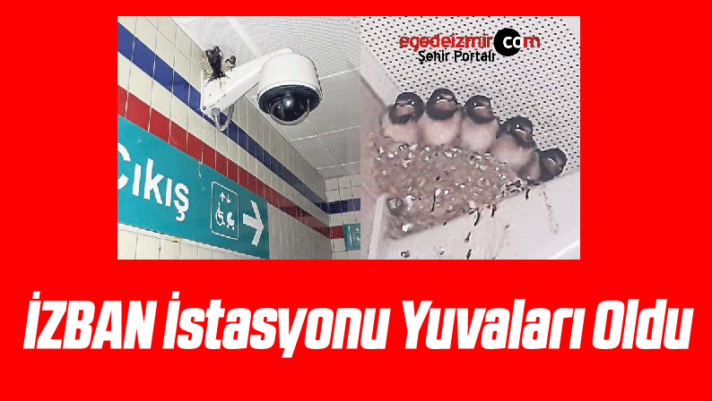 Varlık 7-100