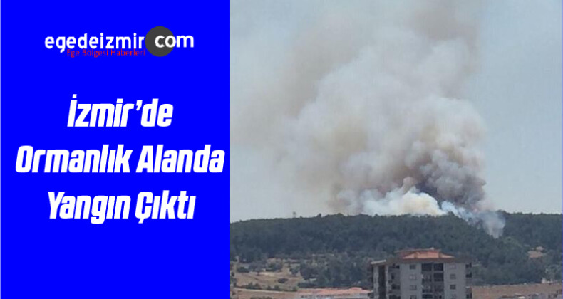 İzmir’in Buca ilçesinde Ormanlık Alanda Yangın Çıktı