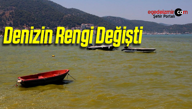 deniz rengi