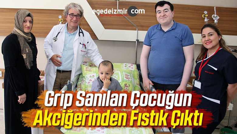 Fıstık