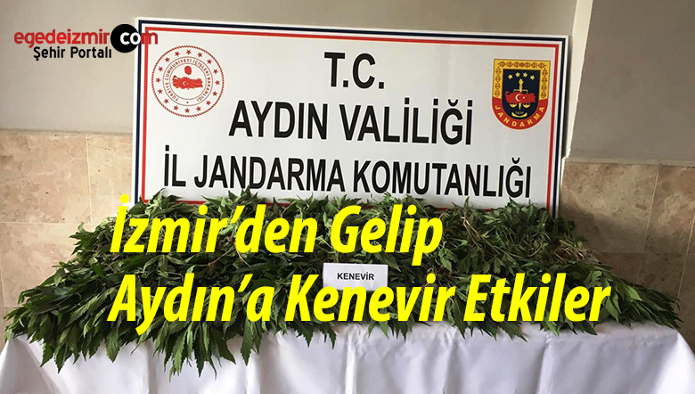 kenevir