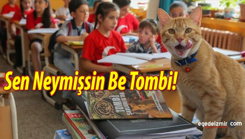 tombi