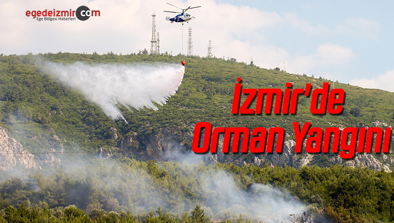 yangın