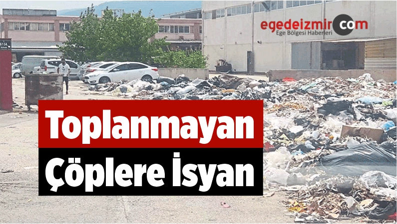 Çöplere İsyan