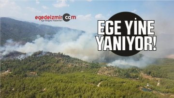 Muğla’da Orman Yangını