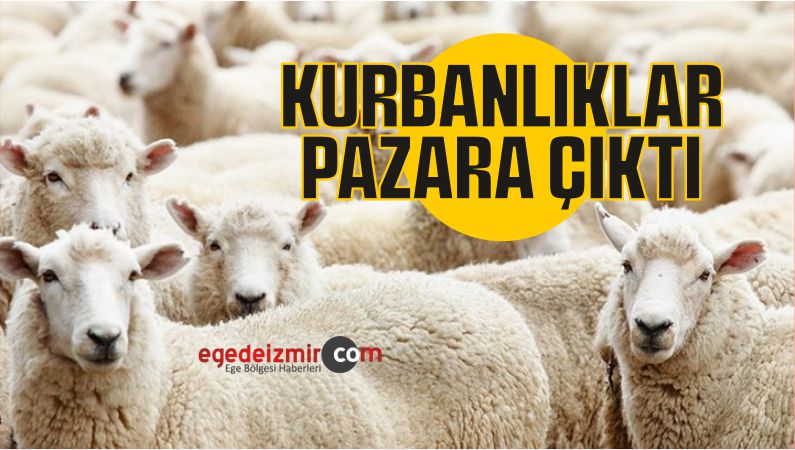 KURBANLIKLAR PAZARA ÇIKTI