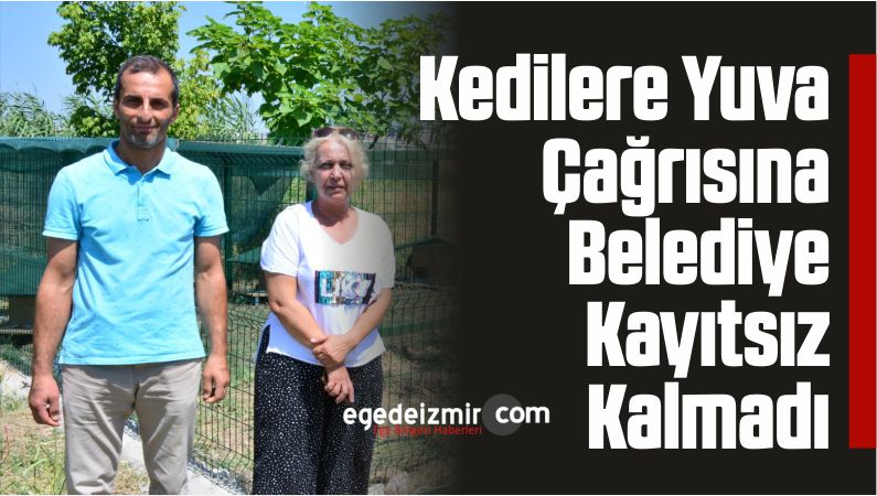 Kedilere Yuva