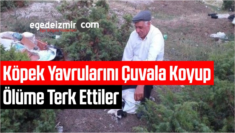 Köpek Yavrularını Çuvala Koyup Ölüme Terk Ettiler