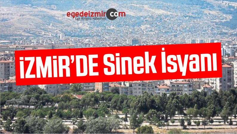 Sinek İsyanı