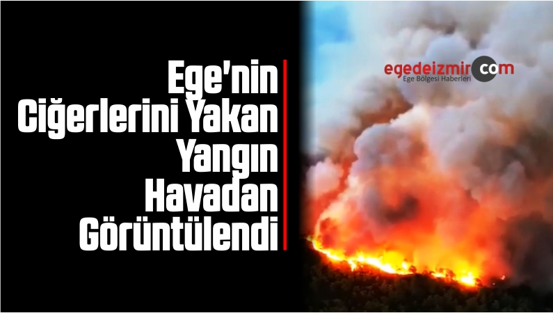 Yangın Havadan