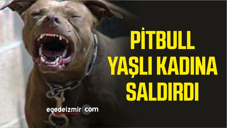 Yaşlı Kadına Saldırdı