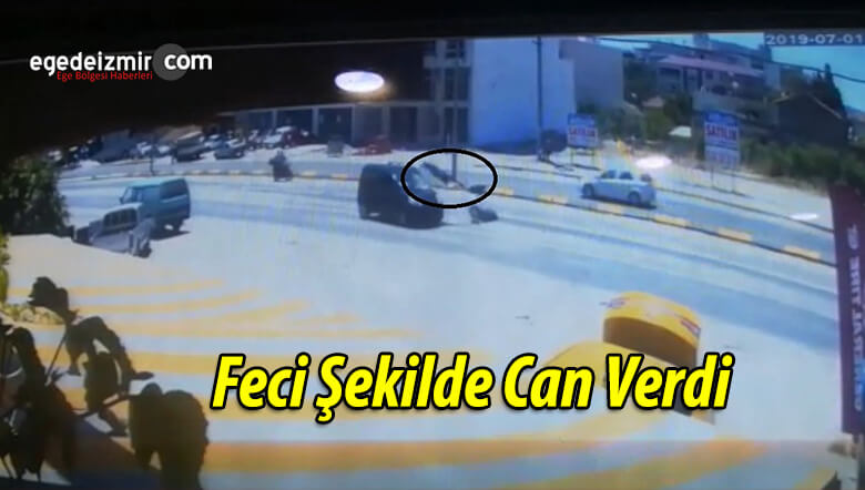 can verd